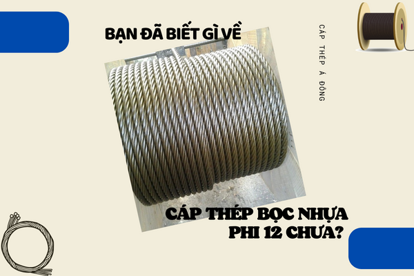 Bạn đã biết gì về cáp thép bọc nhựa phi 12 chưa