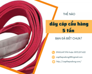 Thế nào là dây cáp cẩu hàng 5 tấn bạn đã biết chưa